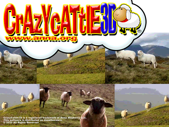 crazy cattle 3d